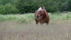 was guckst du denn so?