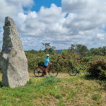 Hinkelstein (Menhir) - ob den Obelix hingestellt hat?