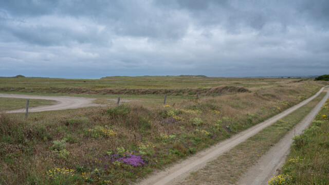 nordische Landschaft