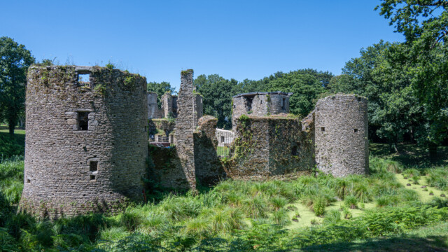 ziemlich versumpfter Wasserragen der Ruine vom Schloss Ranrouet