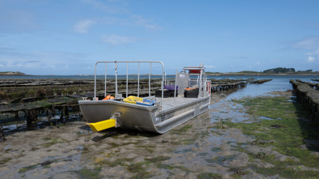 Arbeitsboot der Austernzückter