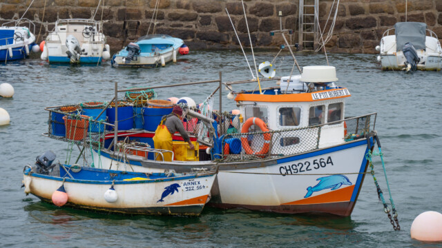 Fischer nutzt das Wasser im Hafen, um seinen Fang zurĂĽck zu bringen