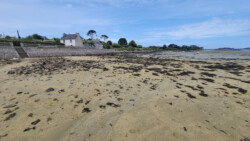 Treppe bei Ebbe begehbar