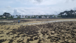 Abkürzung quer durch die wasserlose Bucht