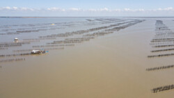 noch weiter draussen wird mit Booten gearbeitet