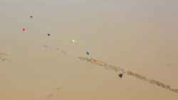 Hobby-Muschelsucher an der Arbeit im tieferen Wasser