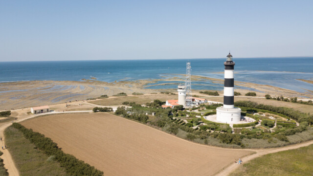 ... und aus der Vogelperspektive