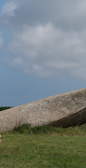 wahrscheinlich umgestürzter Menhir gleicher Grösse