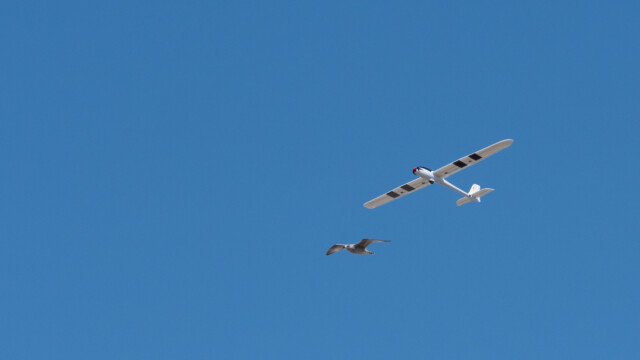 Modellflieger mit Begleitung