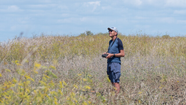 der glückliche Pilot