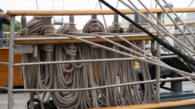 alles schön aufgeschossen