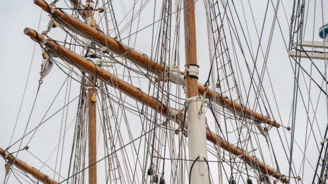 ziemlich viele Leinen
