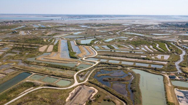 viele Becken auf der Île d'Oléran, Panorama-Luftaufnahme