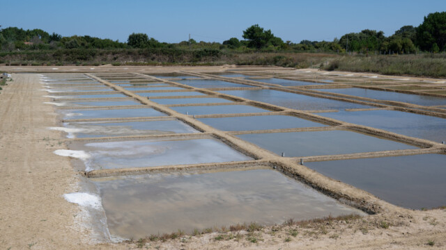 Salzgewinnung
