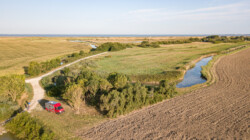 ganz alleine, Meer in der Nähe