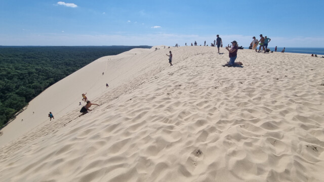 sehr steile Rückseite, im Hintergrund der viele Wald, der kilometerweit ins Landesinnere reicht und den vielen Sand stabilisiert