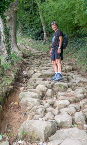 dieser Weg soll es schon zu Römerzeiten gegeben haben, heute Teil des El Camino