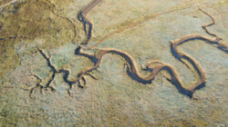 wunderschöne Details