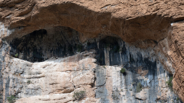 geschützter Felssims, in welchem die Geier sitzen und im Sommer nisten