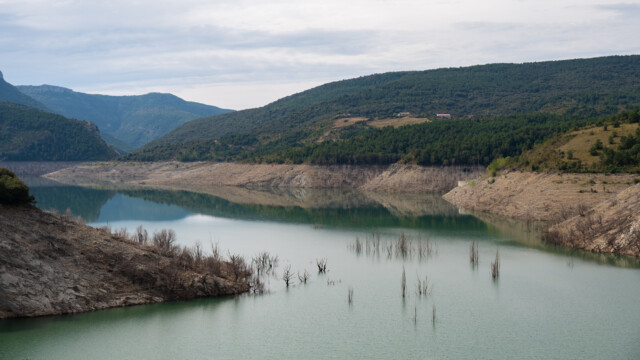 ... sie wurden beim Befüllen des Stausees wohl einfach stehen gelassen