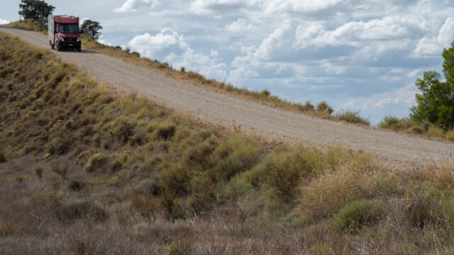 Jupi in seinem Element