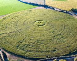 Maisfeld mit runder Bewässerungsanlage
