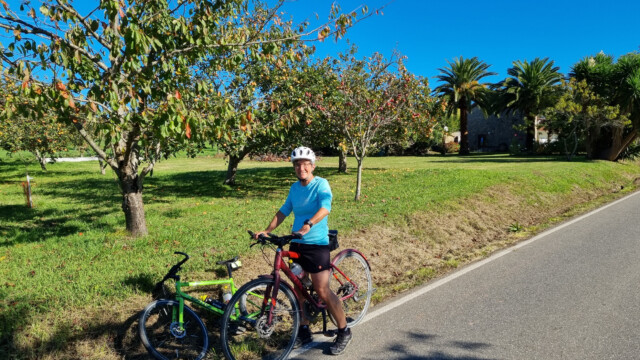Was will man mehr: Bettina, Äpfel und Palmen