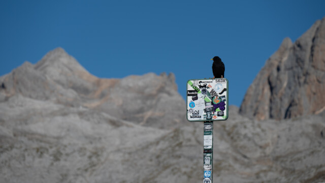 Begrüssung am Morgen auf dem Berg