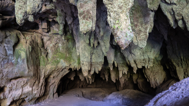 viele bemooste Stalagtiten hängen von der Decke