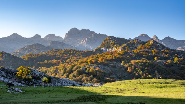 leuchtende Herbstfarben
