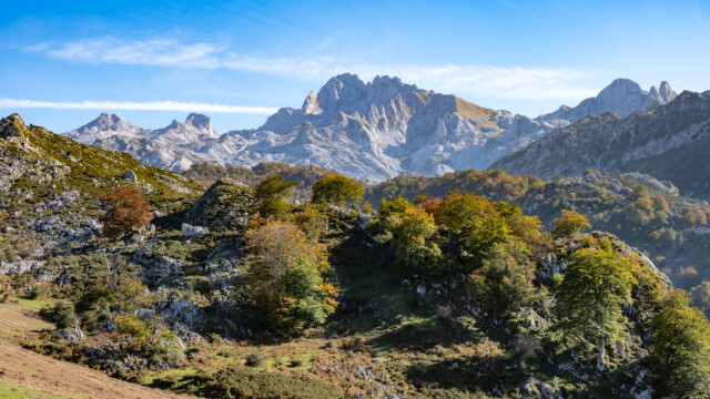 einfach genial schön