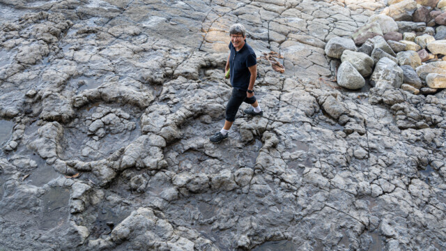 1.2m langer Fussabdruck