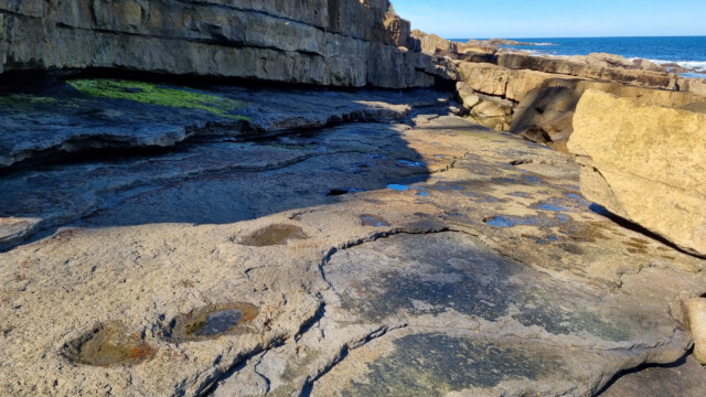 all diese kleinen Pfützen sind Fussabdrücke, die vor 154 Millionen Jahren entstanden, dann versteinerten, überdeckt wurden und heute wieder frei sichtbar sind