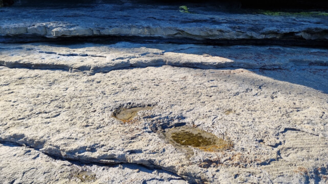 die verschiedenen Schichten sind hier gut sichtbar - und wir haben das Glück, dass die richtige frei sichtbar ist