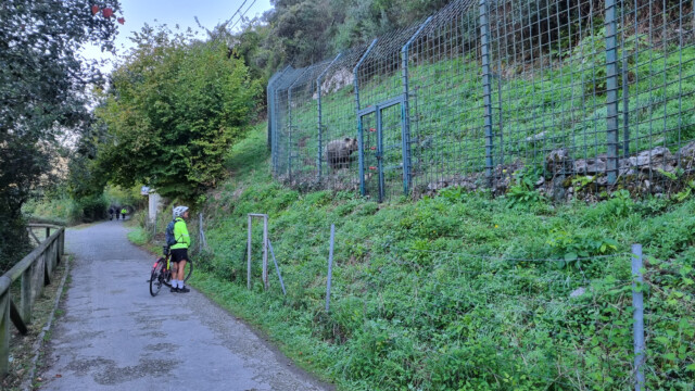 Bärengehege am Senda del Oso, dem Bärenweg