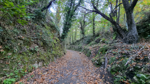 steiniger Bärenweg und meistens im Schatten