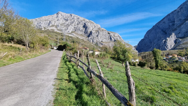 in die Höhe, der Sonne und Wärme entgegen