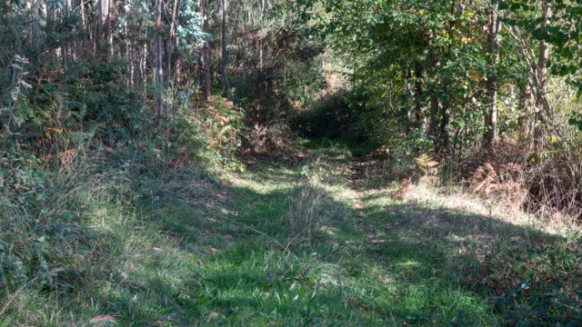 ziemlich Offroad, hier stiegen wir ab...