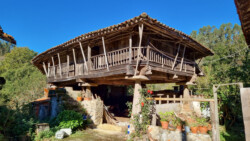 auf Steinplatten gelegt, damit Nagetiere keinen Zugang finden