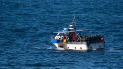 der Korb ist fast drinnen