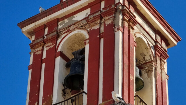 grosses Storchennest