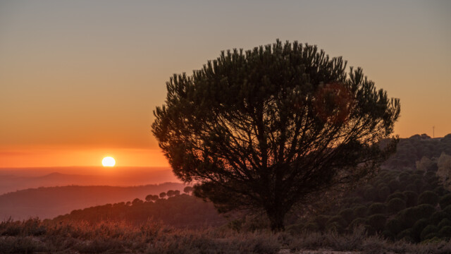 stimmungsvoller Sonnenuntergang