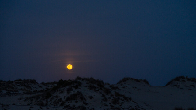 Vollmond mit 105mm Brennweite