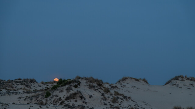 Mond schaut hinter den Dünen hervor