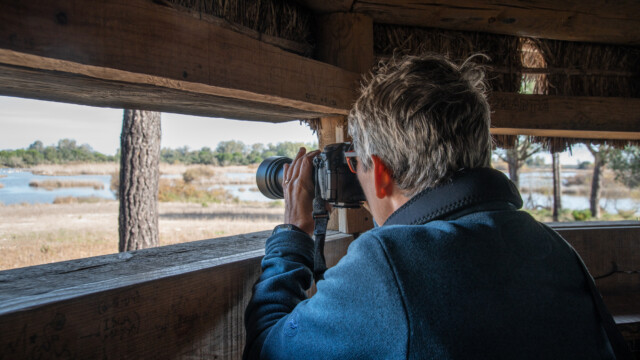 aus einer Beobachtungshütte