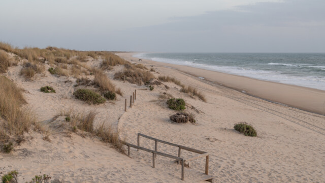 Kilometerlange Sanddünen begrenzen den Nationalpark Doñana vom Meer