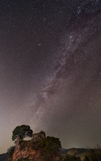 Milchstrasse über altem Baum; zwischen Lora del Río und dem Stausee José Torán