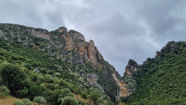 hügelige Landschaft, über den Bergen ganz klein viele Geier