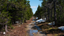 schmelzende Schneereste verursachen immer wieder grössere Pfützen