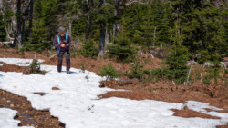 Schneefeld auf dem Wanderweg